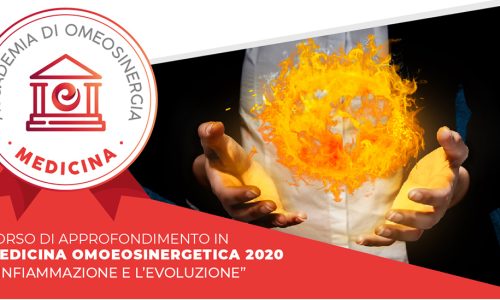 L’infiammazione e l’evoluzione 1° Livello