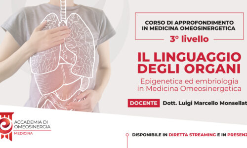 Linguaggio degli organi 3° Livello